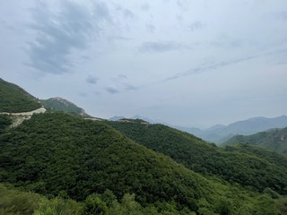D1558C73-B4CC-4C1C-953A-2912CB1550DC/L0/001