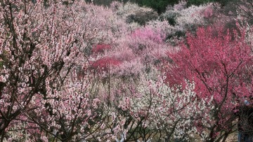 9F6B85E4-780F-4850-B175-29814144EF44/L0/001