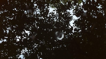 B8F44142-0D7C-4E04-B2B5-51514623CCE4/L0/001