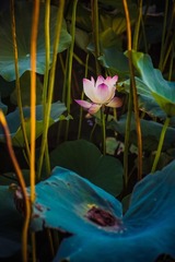 001