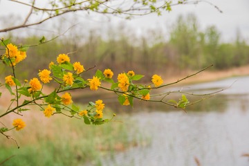 1099050