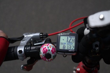 DSC_0145.jpg