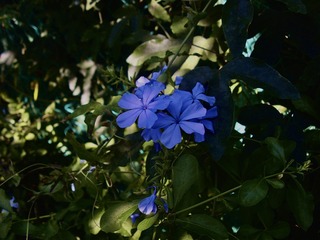 549AC07C-4149-46CD-B845-884CA5CD7928/L0/001