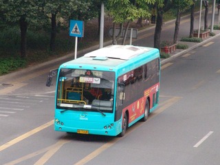 DSC07671.JPG
