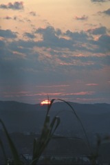 F2D1C2BF-856C-4E57-AB82-CA46F3015FFD/L0/001