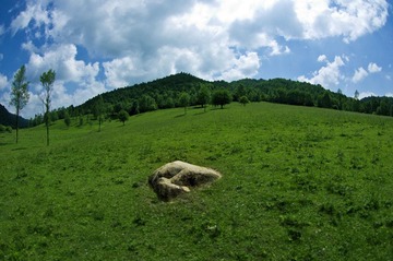 IMGP1254.jpg