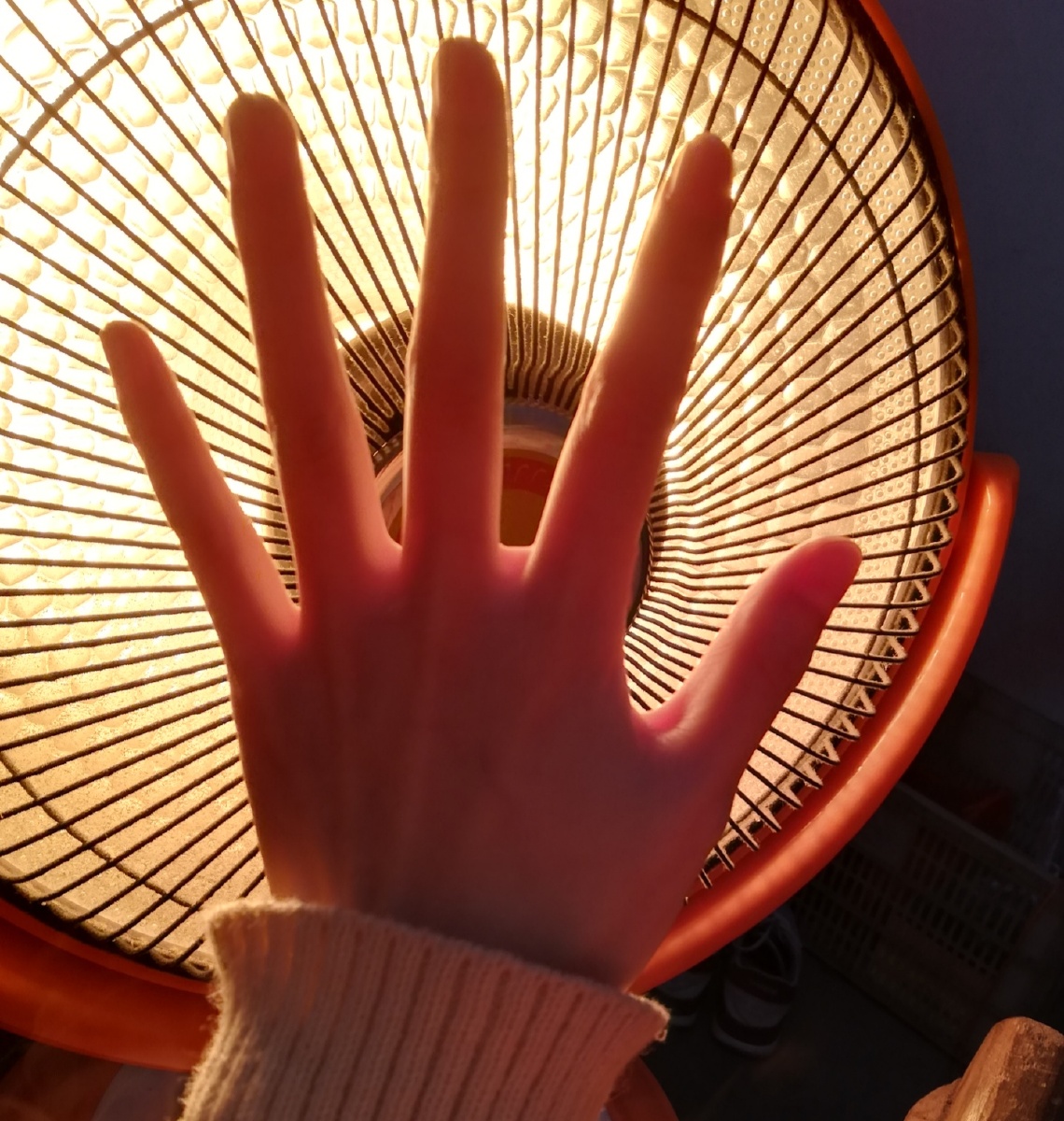 翻到一张以前拍的手的照片