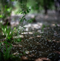 Image10