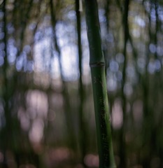 Image12