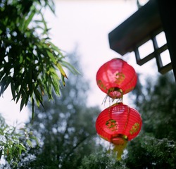 Image8