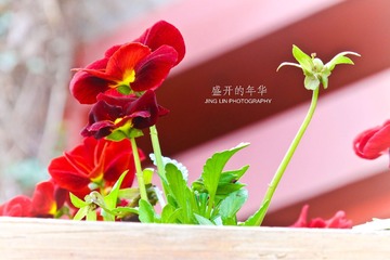 IMG_1073_副本.jpg