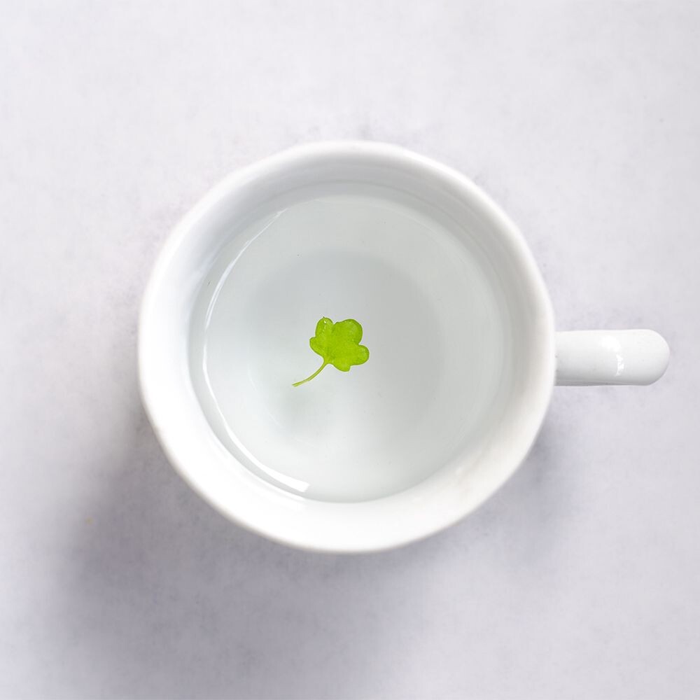 杯<br />

