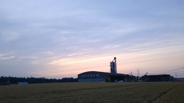 173779