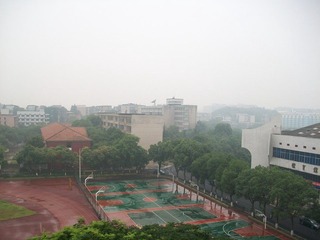 100_6559