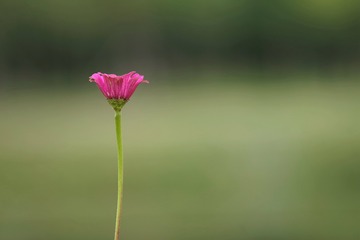 3506042
