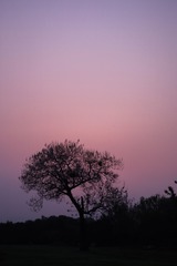 IMGL0225
