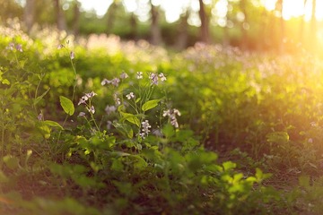 11IMG_1045_副本.jpg
