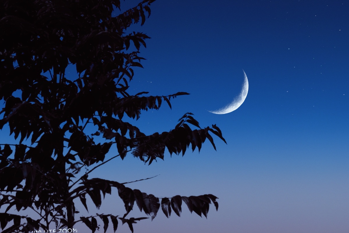 1/1今日天空绝了树晚上静物美学卖图晒单分享光影者的风光摄影还没有