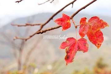 IMG_1621.jpg