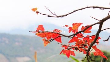 IMG_1622.jpg