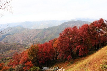 IMG_1658.jpg