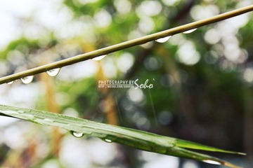 IMG_1456.jpg