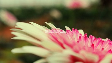 IMG_1465.jpg