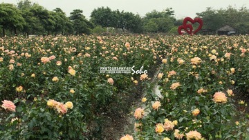 IMG_1507.jpg