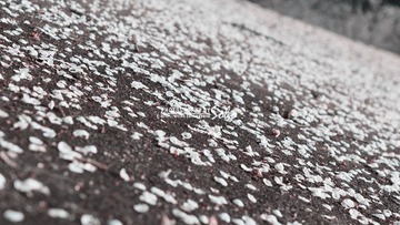 IMG_1772.jpg