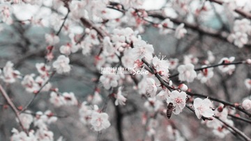 IMG_1761.jpg
