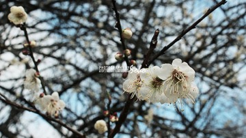 IMG_1765.jpg