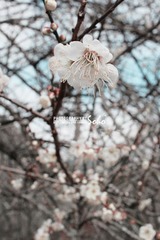 IMG_1767.jpg