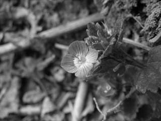 DSCF3277.JPG