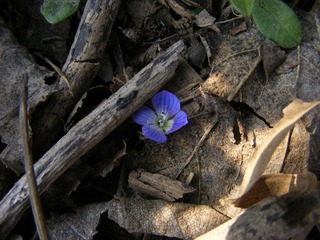 DSCF3291.JPG