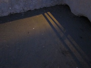 IMG_1452.jpg