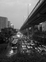 IMG_1842_1.jpg