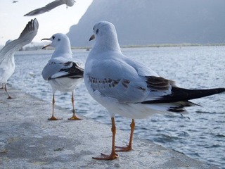 IMG_3464.jpg