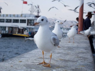 IMG_3573.jpg