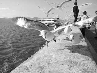 IMG_3540_1.jpg