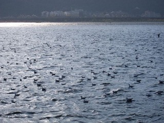 IMG_3608.jpg