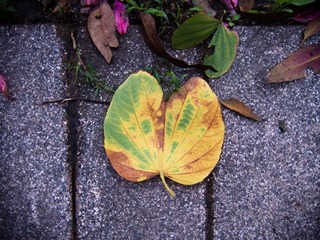 IMG_3924 2.jpg