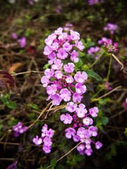 IMG_3928 2.jpg