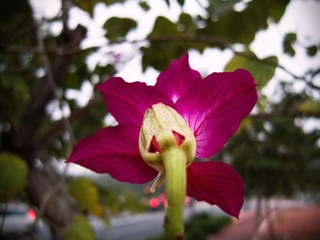 IMG_3942 2.jpg