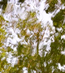 SDIM0052 20