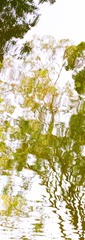 SDIM0054 3