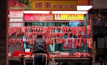 P1192859.jpg