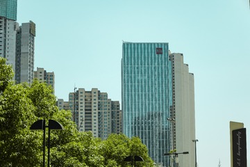 楼