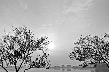IMGP1021-1.jpg