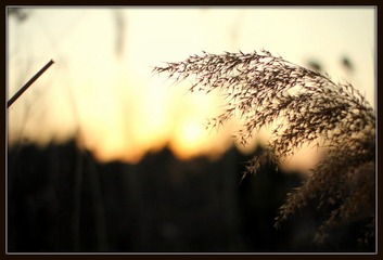 IMG_2386.JPG