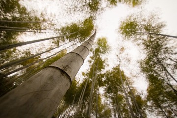 IMG_1695.jpg